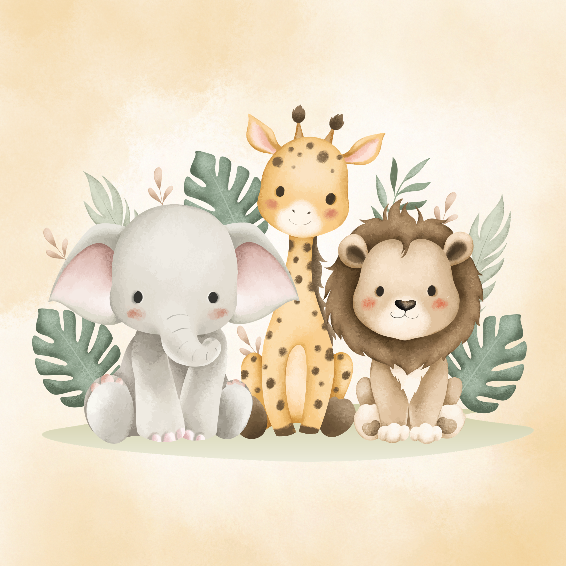 Safari