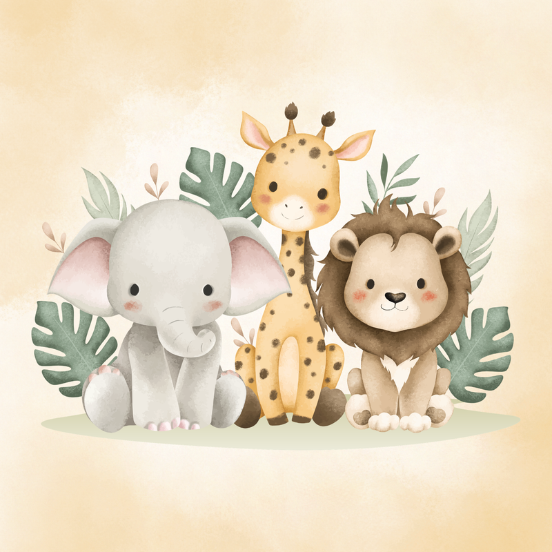 Safari